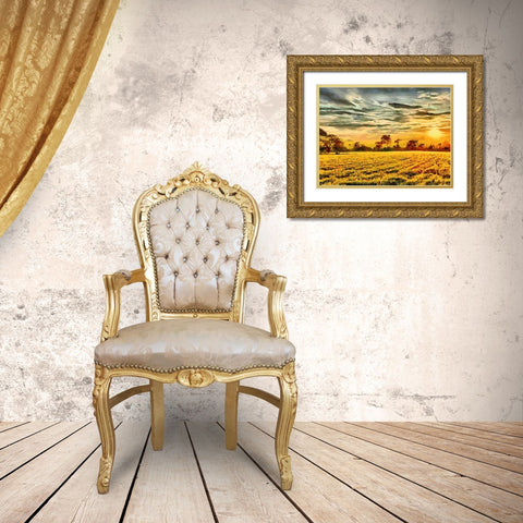 Sunset above the Road II Gold Ornate Wood Framed Art Print with Double Matting by Medeiros, Celito