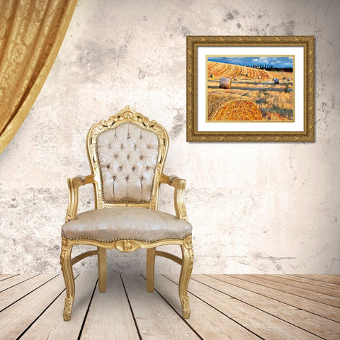 Sunset above the Field Gold Ornate Wood Framed Art Print with Double Matting by Medeiros, Celito