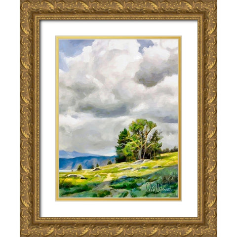 White Clouds IV Gold Ornate Wood Framed Art Print with Double Matting by Medeiros, Celito
