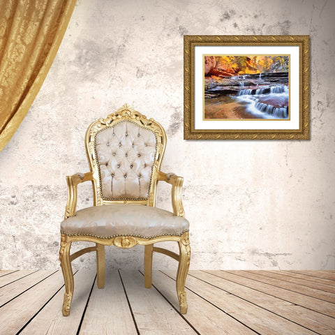 Small Watterfall on the River Gold Ornate Wood Framed Art Print with Double Matting by Medeiros, Celito