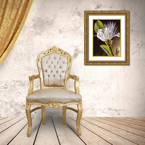 Spring Floral Variations XIX Gold Ornate Wood Framed Art Print with Double Matting by Medeiros, Celito