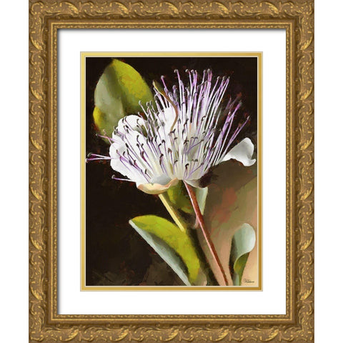 Spring Floral Variations XIX Gold Ornate Wood Framed Art Print with Double Matting by Medeiros, Celito