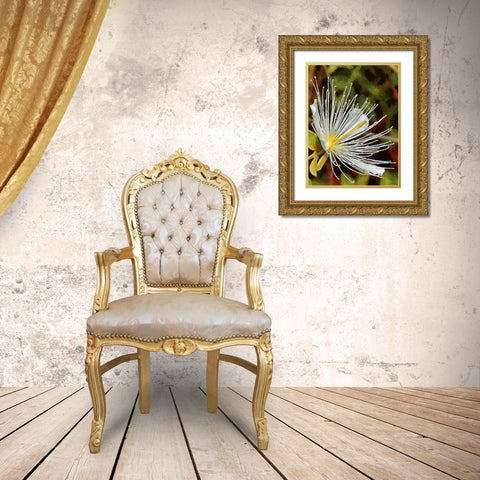 Spring Floral Variations XX Gold Ornate Wood Framed Art Print with Double Matting by Medeiros, Celito