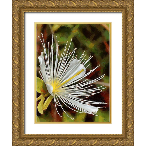 Spring Floral Variations XX Gold Ornate Wood Framed Art Print with Double Matting by Medeiros, Celito