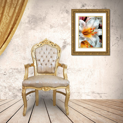 Spring Floral Variations XXIV Gold Ornate Wood Framed Art Print with Double Matting by Medeiros, Celito