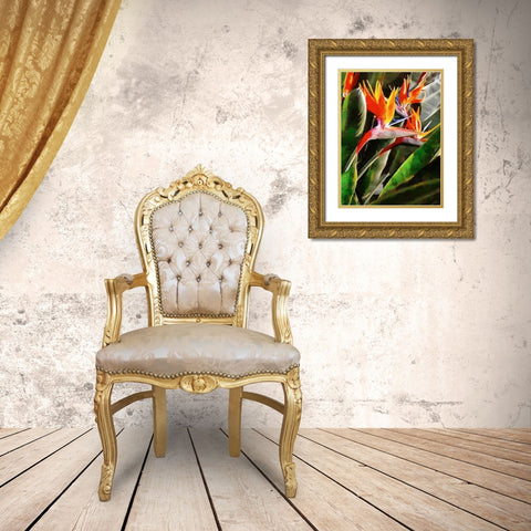 Spring Floral Variations XLIII Gold Ornate Wood Framed Art Print with Double Matting by Medeiros, Celito
