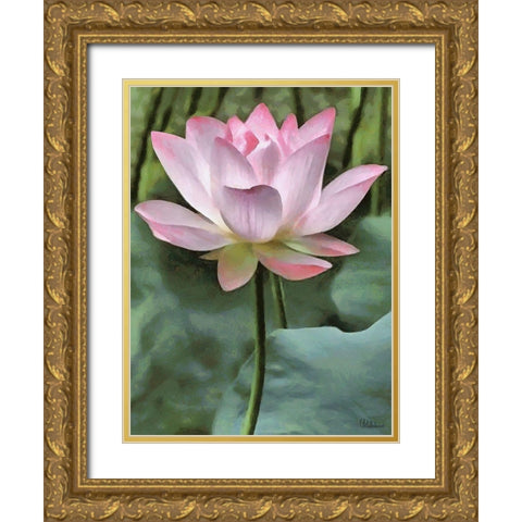 Watter Lilly II Gold Ornate Wood Framed Art Print with Double Matting by Medeiros, Celito