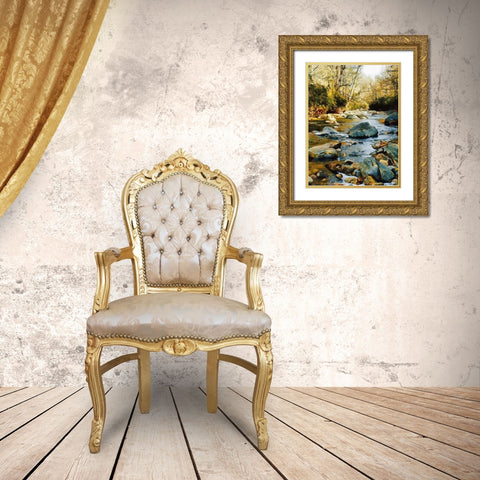 River in the Forest VII Gold Ornate Wood Framed Art Print with Double Matting by Medeiros, Celito