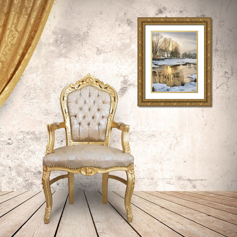 Sunny Day in Winter VIII Gold Ornate Wood Framed Art Print with Double Matting by Medeiros, Celito