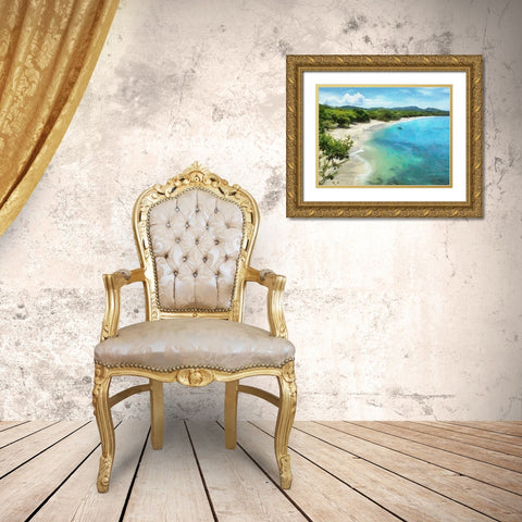 Tropical Bay II Gold Ornate Wood Framed Art Print with Double Matting by Medeiros, Celito