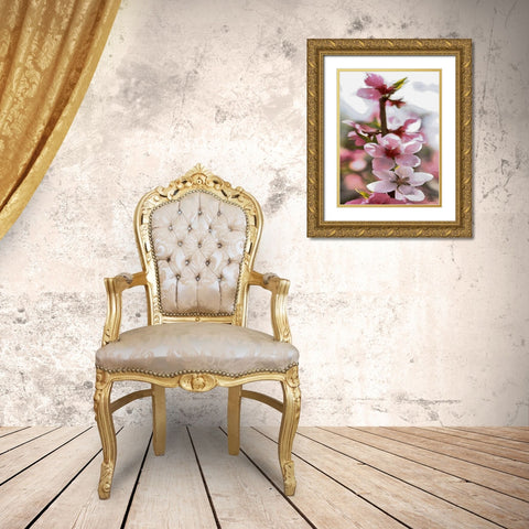I like Flowers XVIII Gold Ornate Wood Framed Art Print with Double Matting by Medeiros, Celito