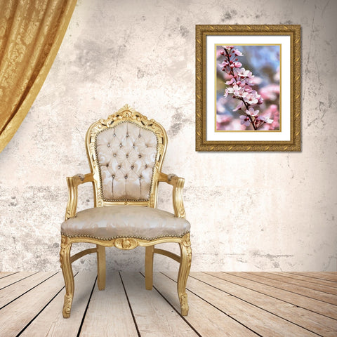 I like Flowers XIX Gold Ornate Wood Framed Art Print with Double Matting by Medeiros, Celito