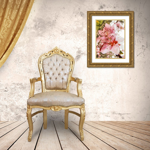 I like Flowers XX Gold Ornate Wood Framed Art Print with Double Matting by Medeiros, Celito