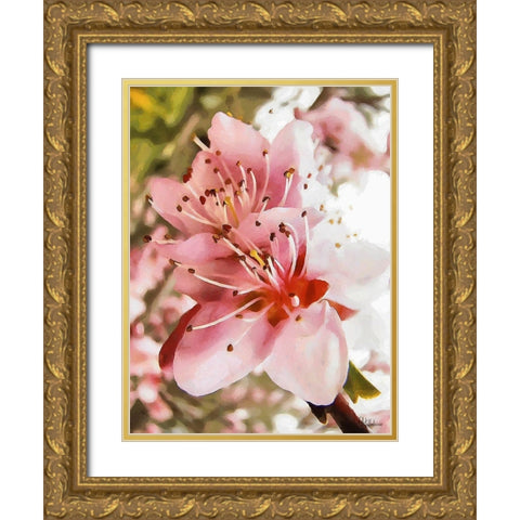 I like Flowers XX Gold Ornate Wood Framed Art Print with Double Matting by Medeiros, Celito