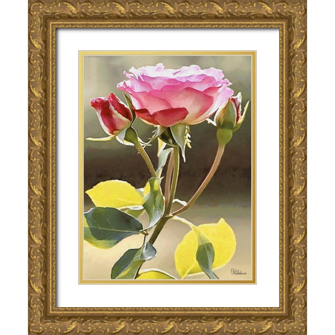 I like Flowers XXVII Gold Ornate Wood Framed Art Print with Double Matting by Medeiros, Celito