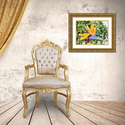 Yellow Orchid IV Gold Ornate Wood Framed Art Print with Double Matting by Medeiros, Celito
