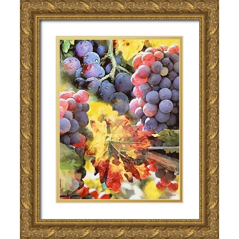 Grapes IV Gold Ornate Wood Framed Art Print with Double Matting by Medeiros, Celito