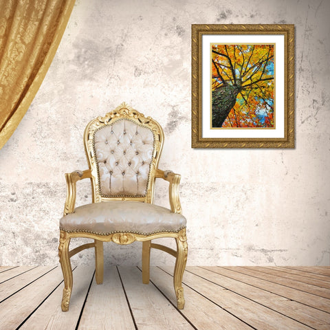 Collectio of Bloomin and Autumn Trees IV Gold Ornate Wood Framed Art Print with Double Matting by Medeiros, Celito