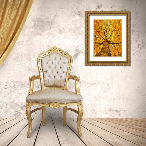 Collectio of Bloomin and Autumn Trees VII Gold Ornate Wood Framed Art Print with Double Matting by Medeiros, Celito