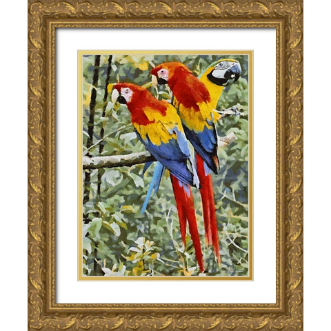 Three Parrots Gold Ornate Wood Framed Art Print with Double Matting by Medeiros, Celito