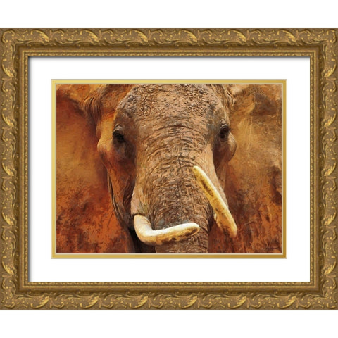 An Elephant Gold Ornate Wood Framed Art Print with Double Matting by Medeiros, Celito