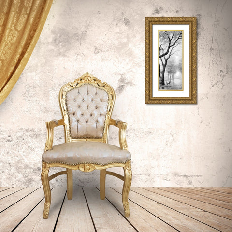 Trees by the Road I BW Gold Ornate Wood Framed Art Print with Double Matting by Medeiros, Celito