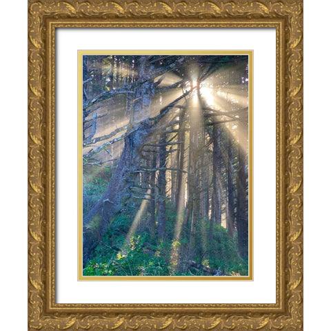Hobbit Trail I Gold Ornate Wood Framed Art Print with Double Matting by Knoble