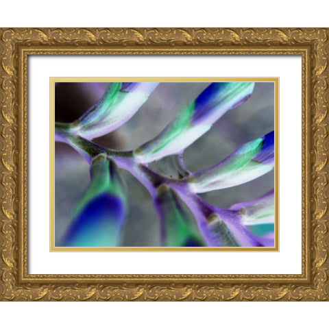 Purple Spine Gold Ornate Wood Framed Art Print with Double Matting by Grayscale