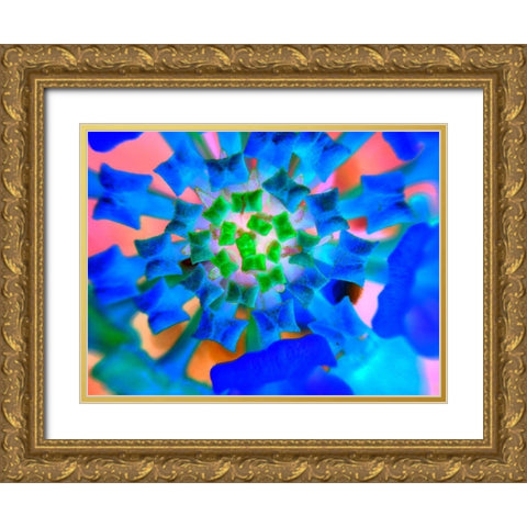 Radial Bowties III Gold Ornate Wood Framed Art Print with Double Matting by Grayscale