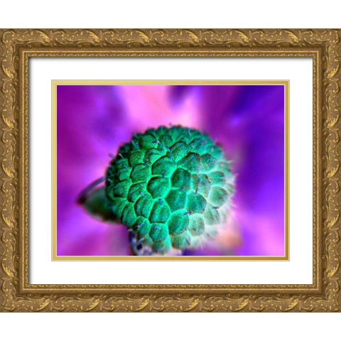 Bright Cluster I Gold Ornate Wood Framed Art Print with Double Matting by Grayscale