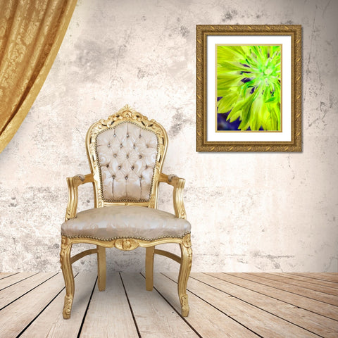 Natural Glow II Gold Ornate Wood Framed Art Print with Double Matting by Grayscale