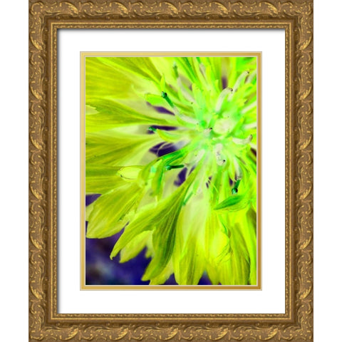 Natural Glow II Gold Ornate Wood Framed Art Print with Double Matting by Grayscale