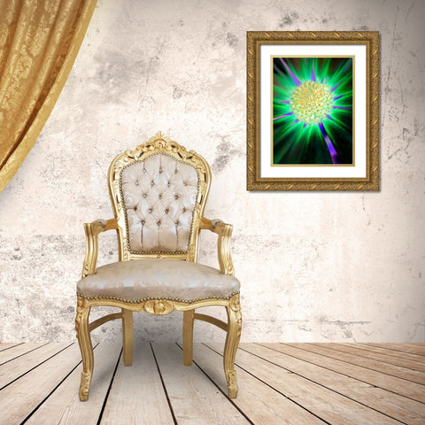 Nexus II Gold Ornate Wood Framed Art Print with Double Matting by Grayscale