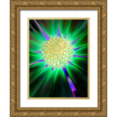 Nexus II Gold Ornate Wood Framed Art Print with Double Matting by Grayscale