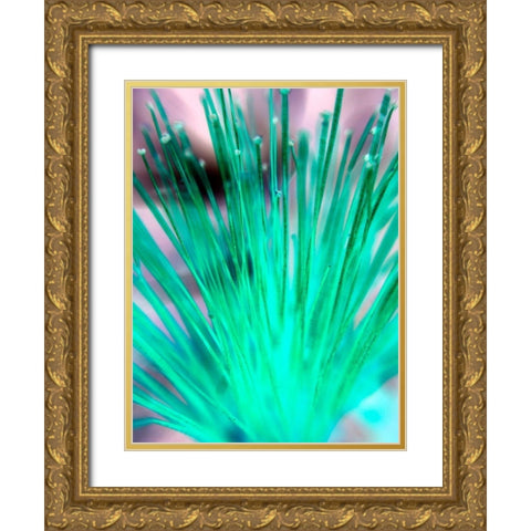 Green SpinesI Gold Ornate Wood Framed Art Print with Double Matting by Grayscale