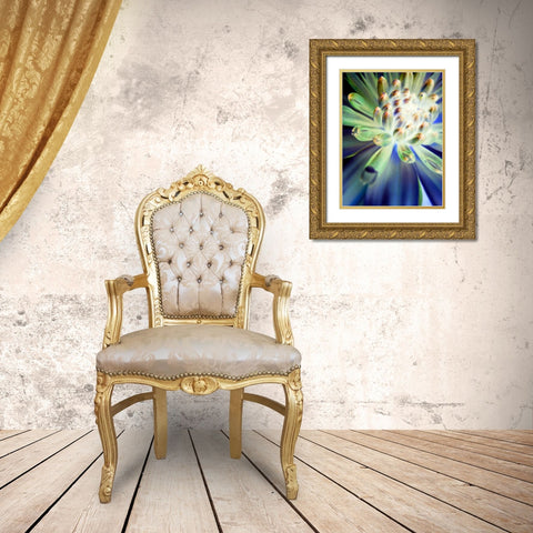 Bright Cluster II Gold Ornate Wood Framed Art Print with Double Matting by Grayscale