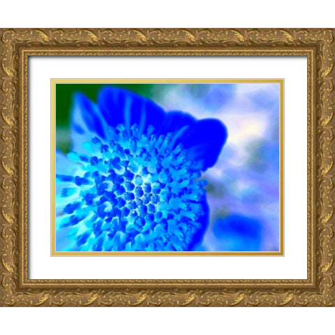 Blue Ball II Gold Ornate Wood Framed Art Print with Double Matting by Grayscale