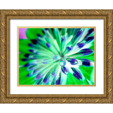Bright Cluster III Gold Ornate Wood Framed Art Print with Double Matting by Grayscale