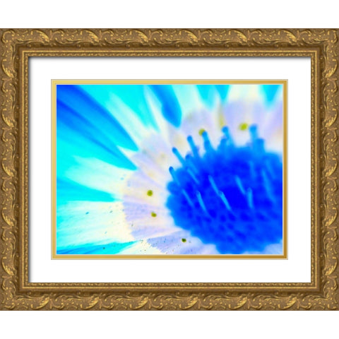 Natural Glow III Gold Ornate Wood Framed Art Print with Double Matting by Grayscale