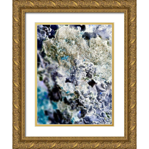 Texture Group II Gold Ornate Wood Framed Art Print with Double Matting by Grayscale