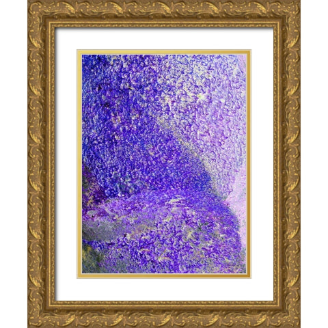 Purple Foam Gold Ornate Wood Framed Art Print with Double Matting by Grayscale