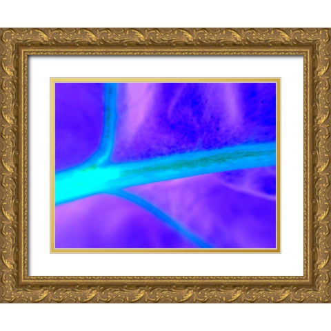 Energy Connection I Gold Ornate Wood Framed Art Print with Double Matting by Grayscale