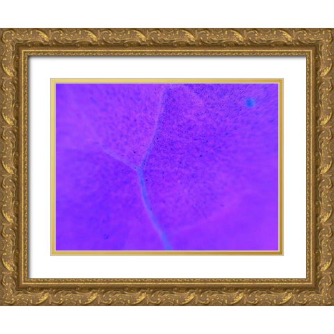 Energy Connection III Gold Ornate Wood Framed Art Print with Double Matting by Grayscale