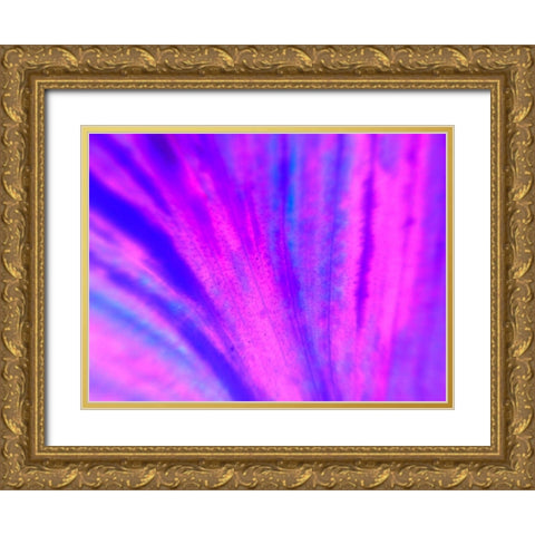 Energy Connection IV Gold Ornate Wood Framed Art Print with Double Matting by Grayscale