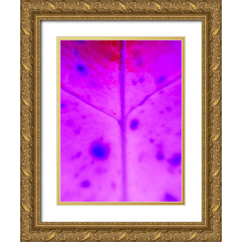 Purple Branch Gold Ornate Wood Framed Art Print with Double Matting by Grayscale