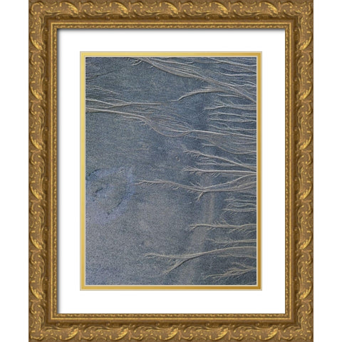 Sand Fibers II Gold Ornate Wood Framed Art Print with Double Matting by Grayscale