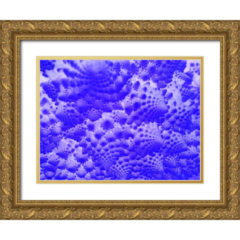 Fractal Clouds I Gold Ornate Wood Framed Art Print with Double Matting by Grayscale