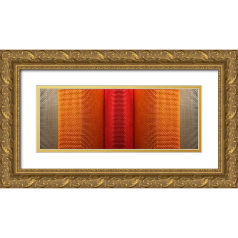 Fabric XVI Gold Ornate Wood Framed Art Print with Double Matting by Grayscale