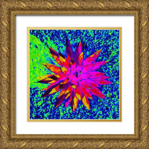 Aloe Burst I Gold Ornate Wood Framed Art Print with Double Matting by Grayscale