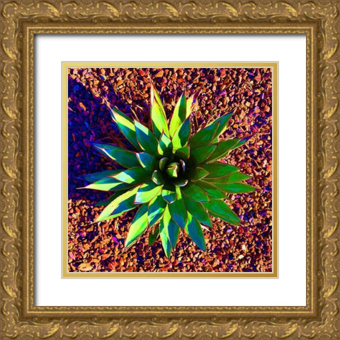 Aloe Burst II Gold Ornate Wood Framed Art Print with Double Matting by Grayscale